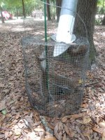 squirrel trap.jpg