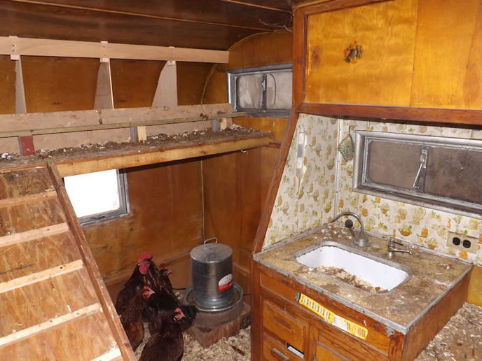 Building a chicken coop - Tractor Talk Forum - Yesterday's Tractors