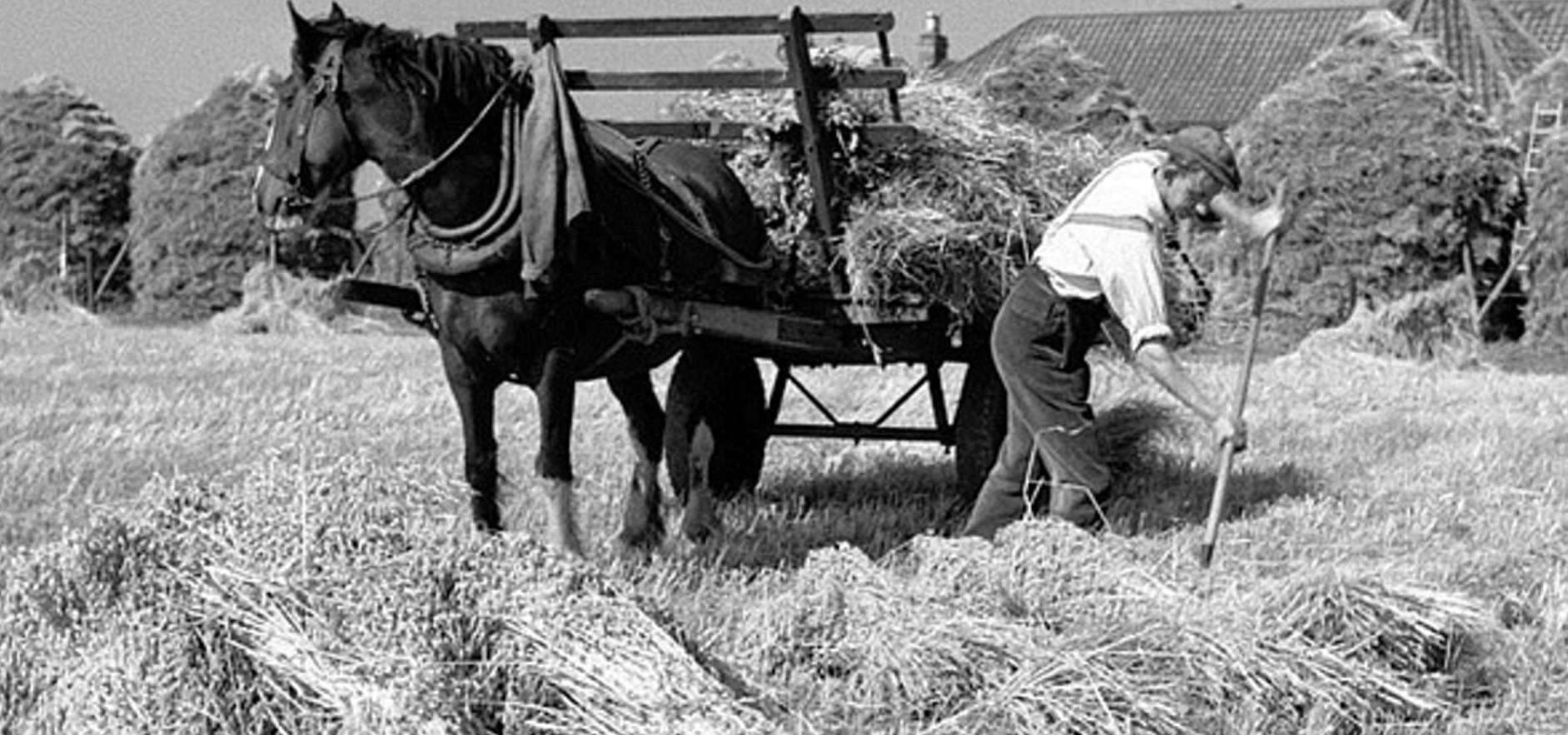 2024.03.20 - Tractor Pics | Yesterday's Tractors Forums