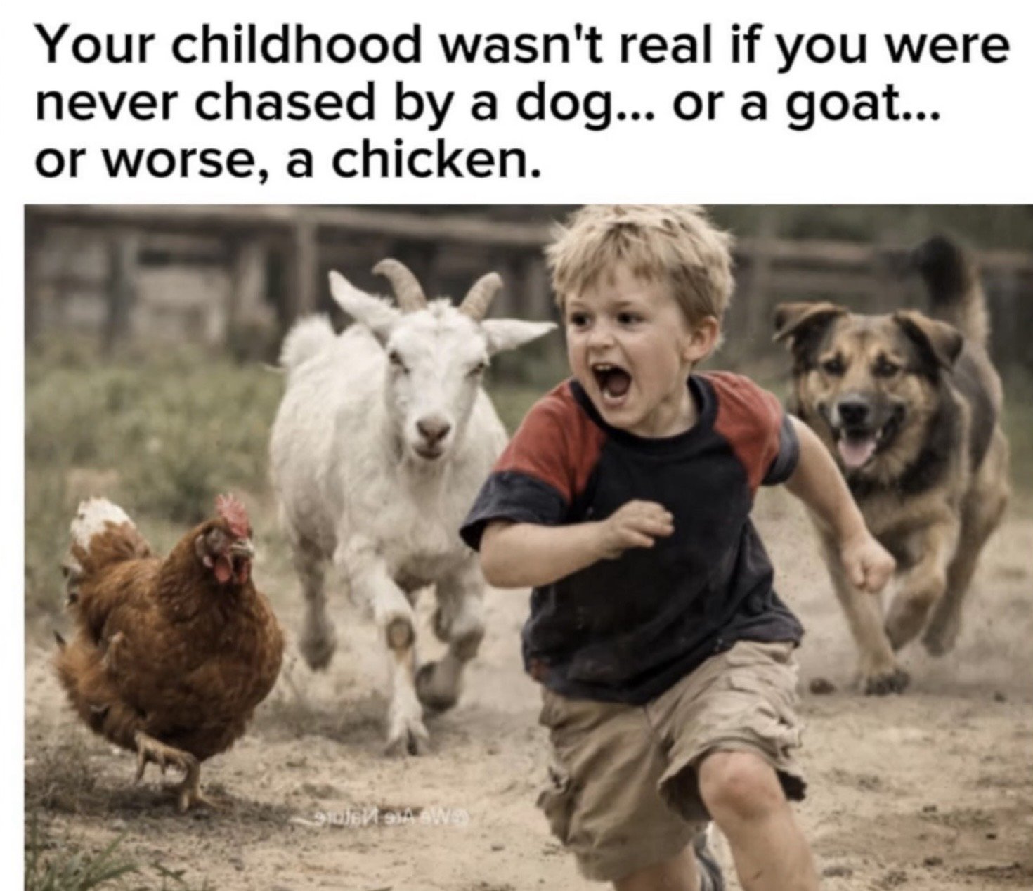 1769740963444.jpeg