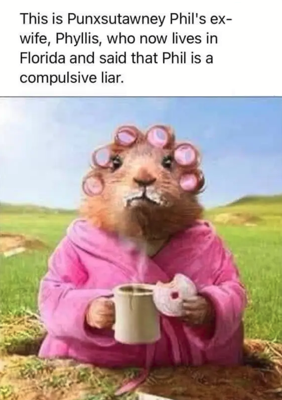 1769916079014.png