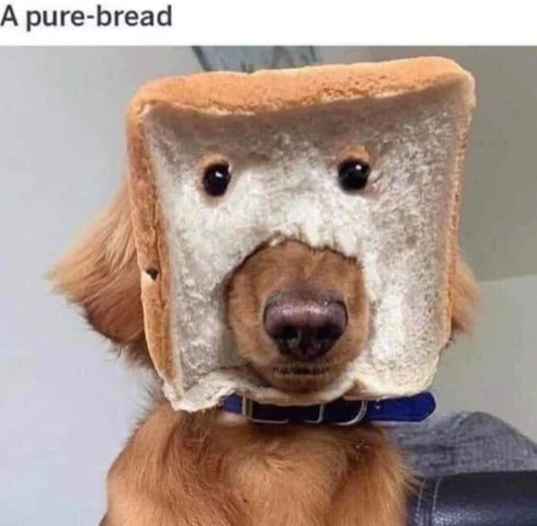 1769964157174.jpeg