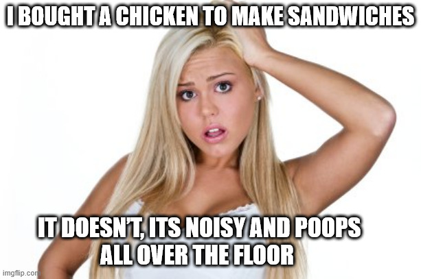 1770514201973.jpeg