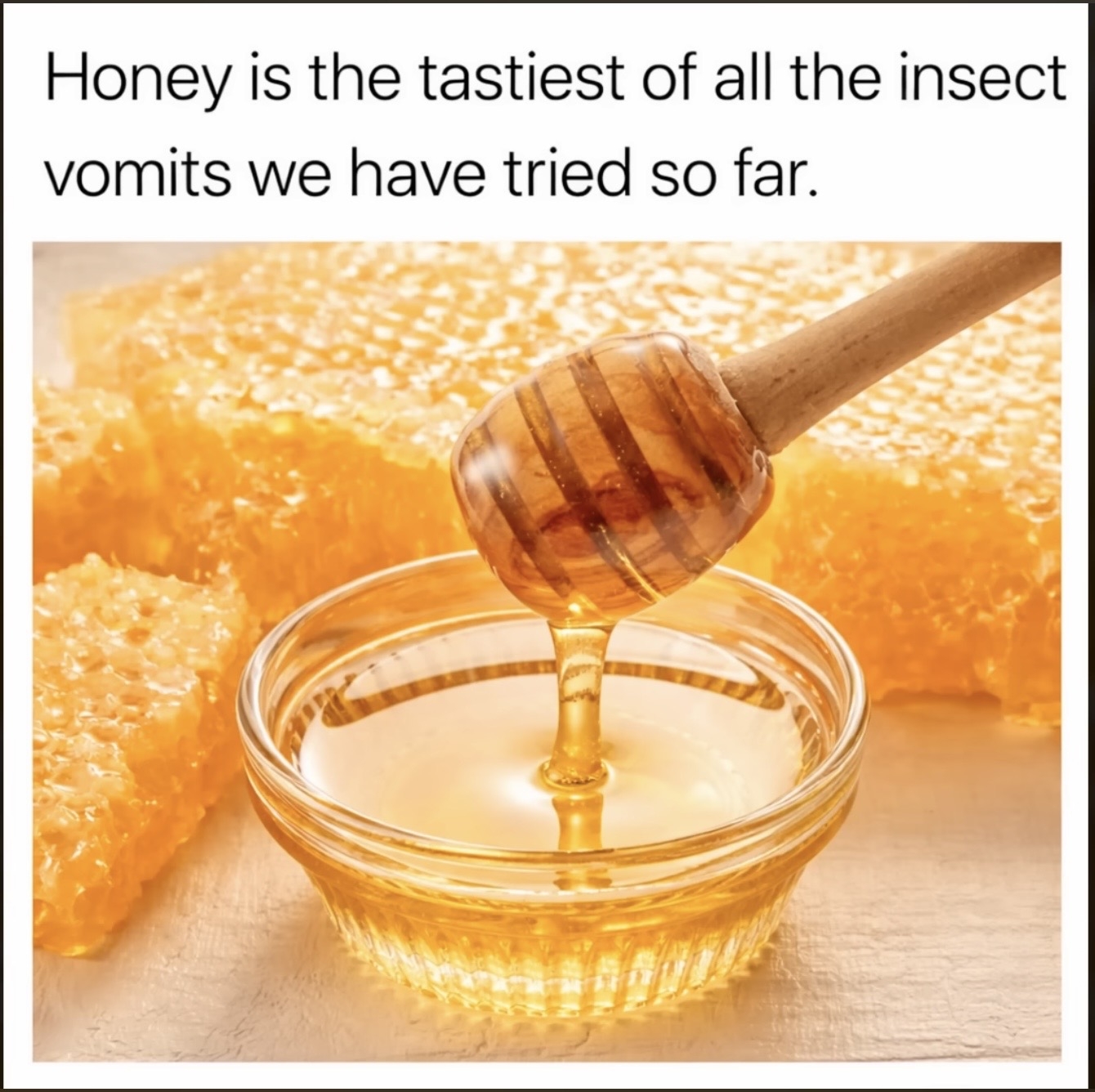 1770863895737.jpeg