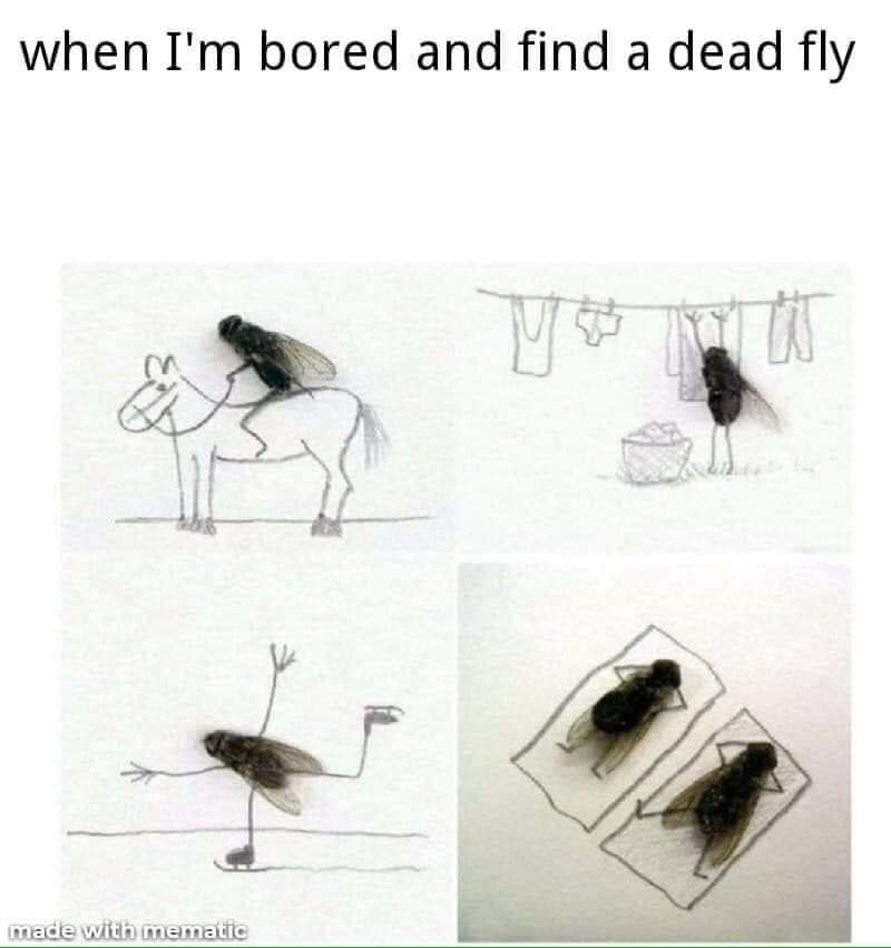 1772855724668.jpeg