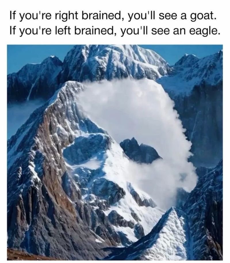 1778895922585.jpeg