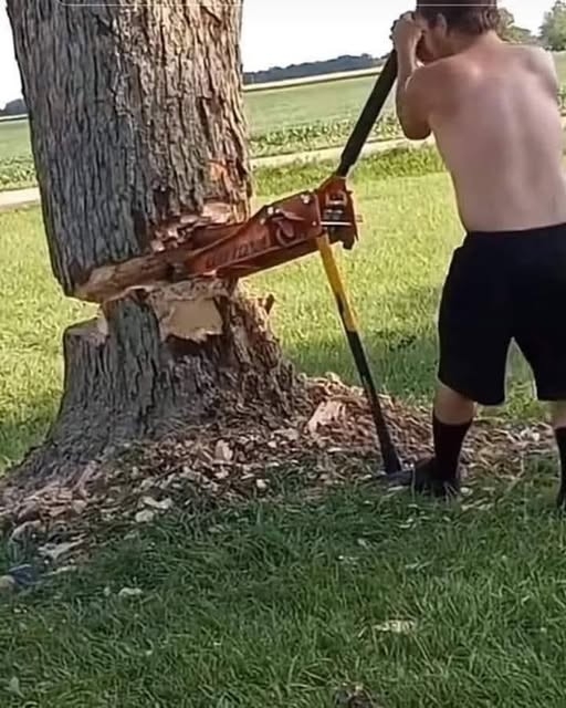 1778896689641.jpeg