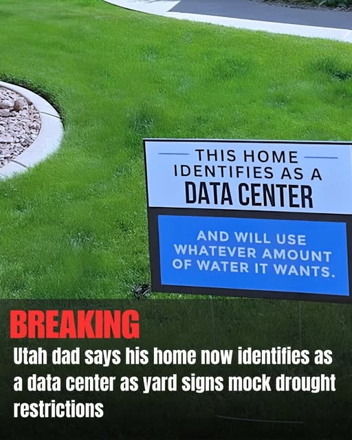 1780869888409.jpeg