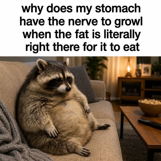 1784771935709.jpeg