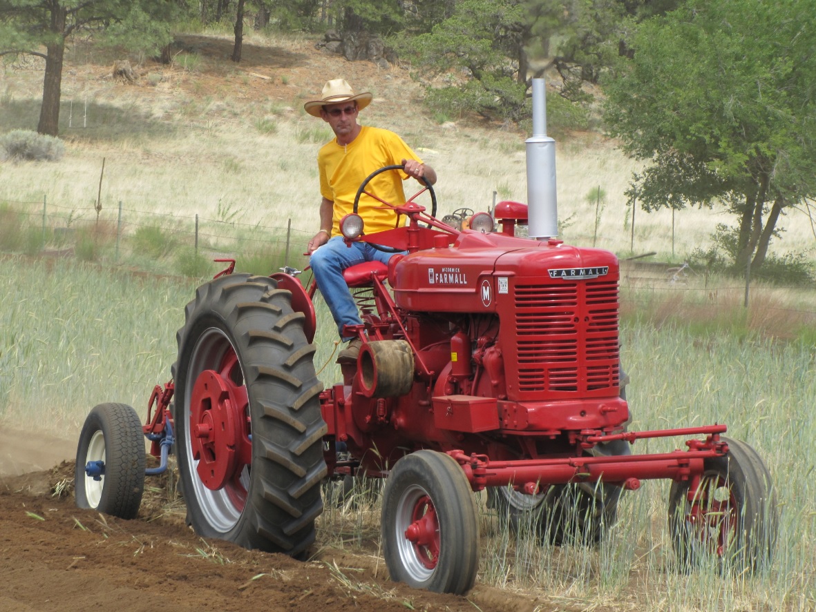 2024.04.08 - 1951 Farmall 'M' tractor hard at work.jpg