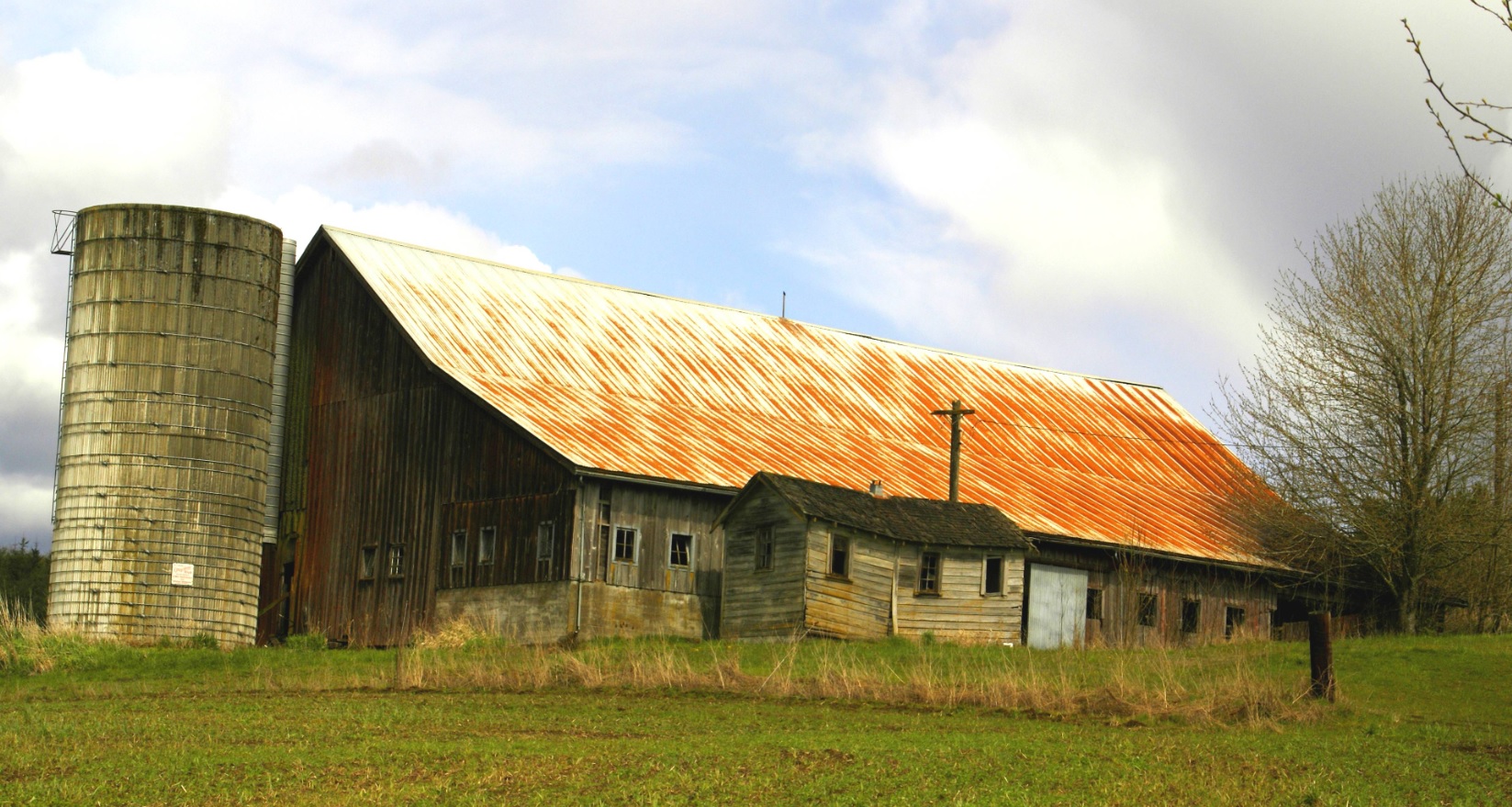 2024.04.22 - old barn.jpg