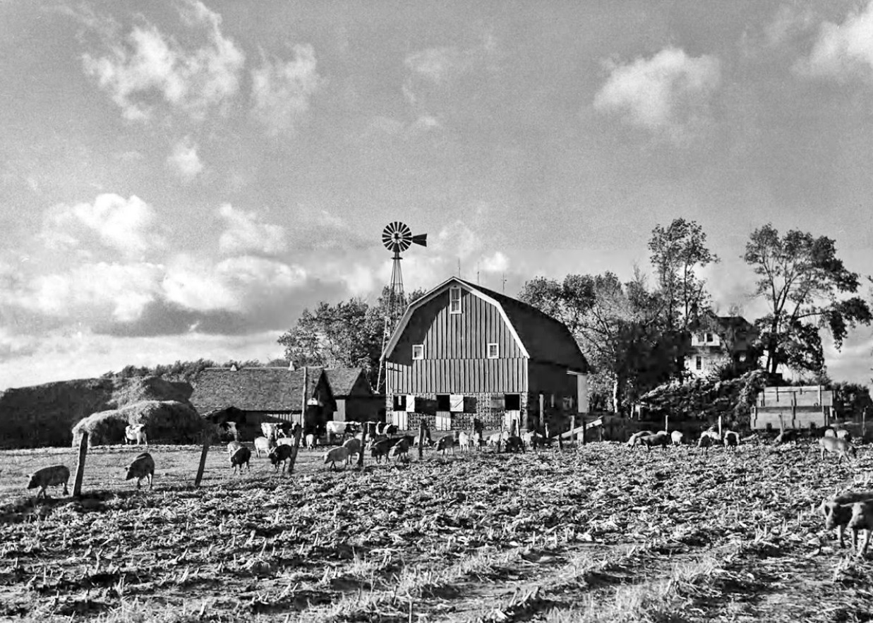 2024.04.28 - Vintage Life on a Farm.jpg