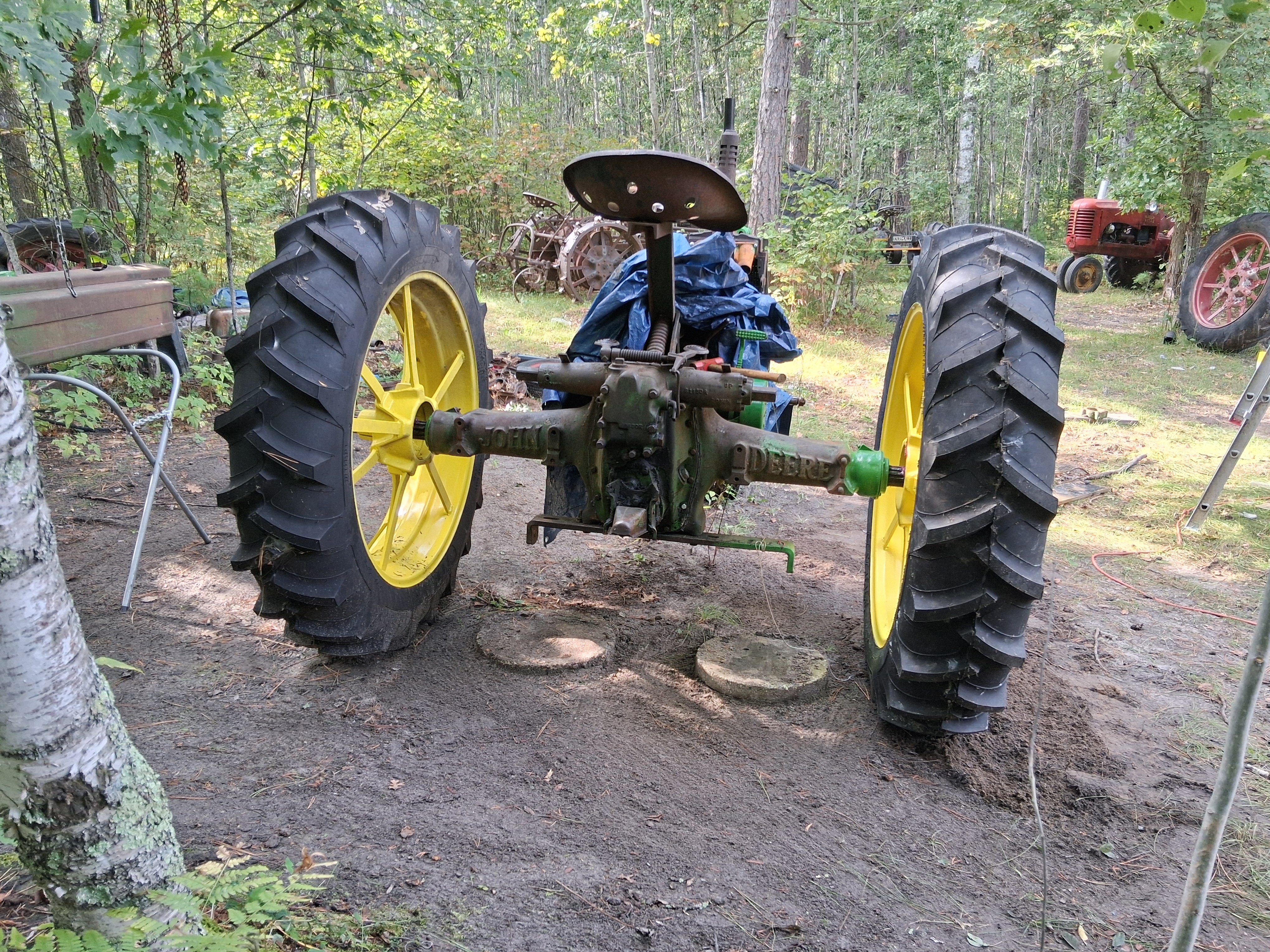 6785.jpg