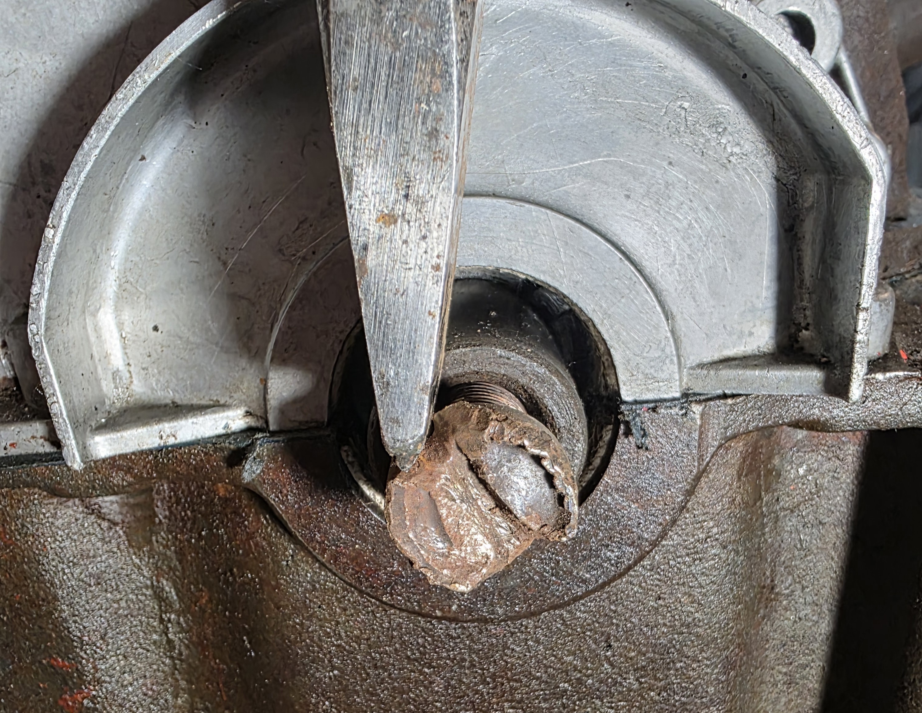 9953.jpg