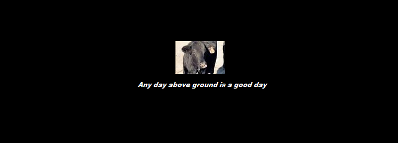avitar.png