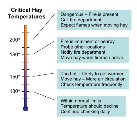 bale temps1.jpeg