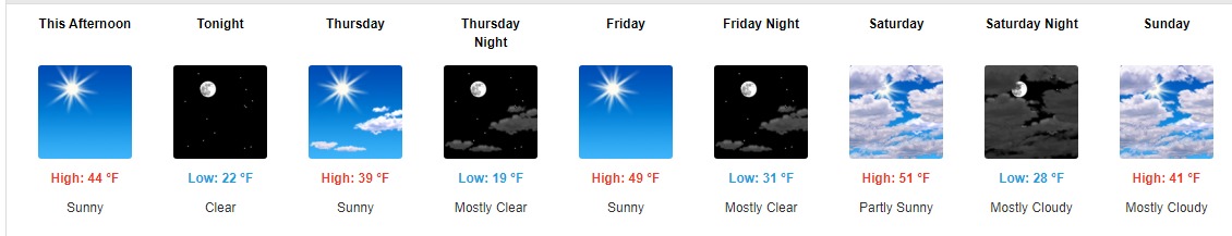 forecast.jpeg