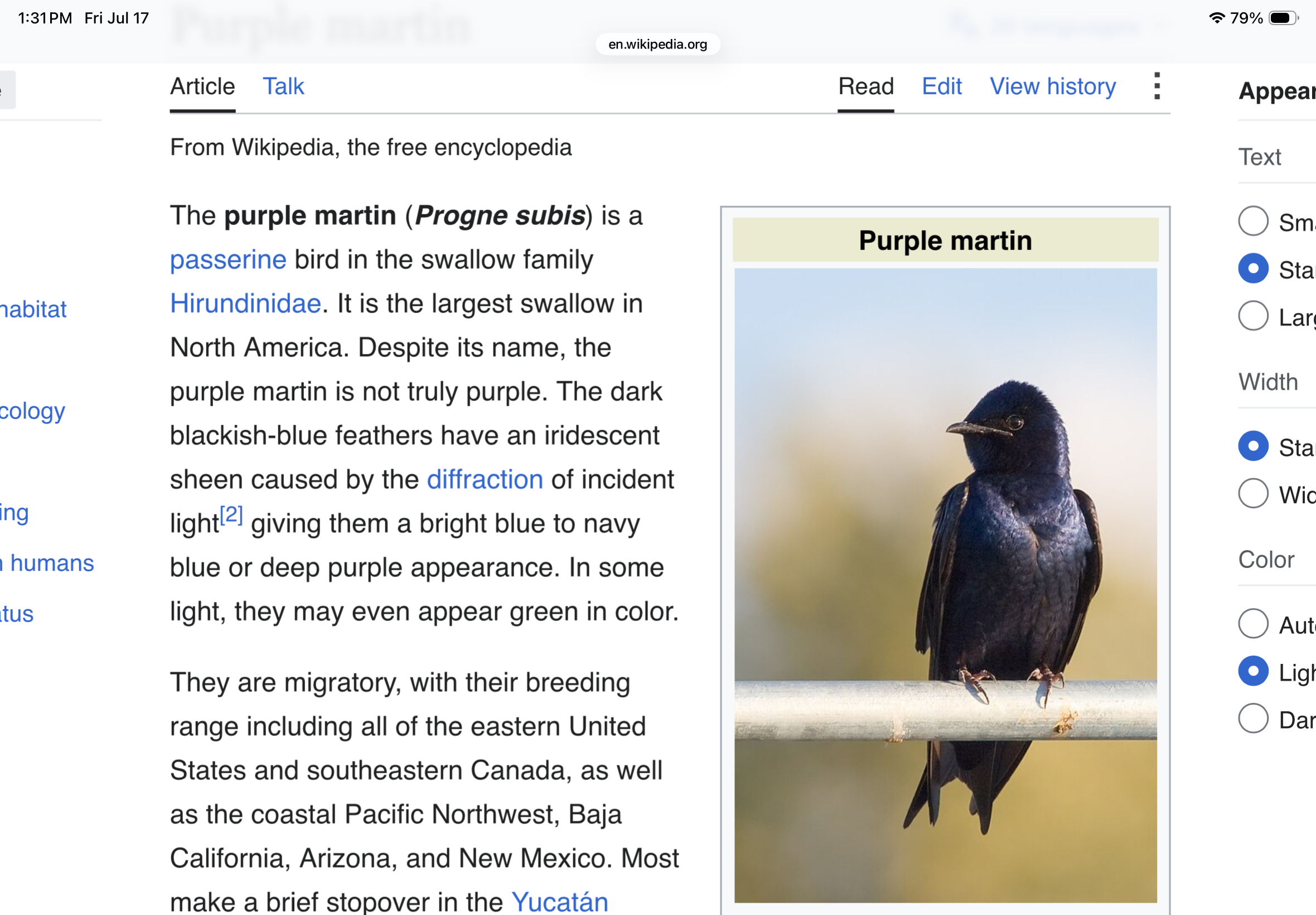 IMG_0717.png