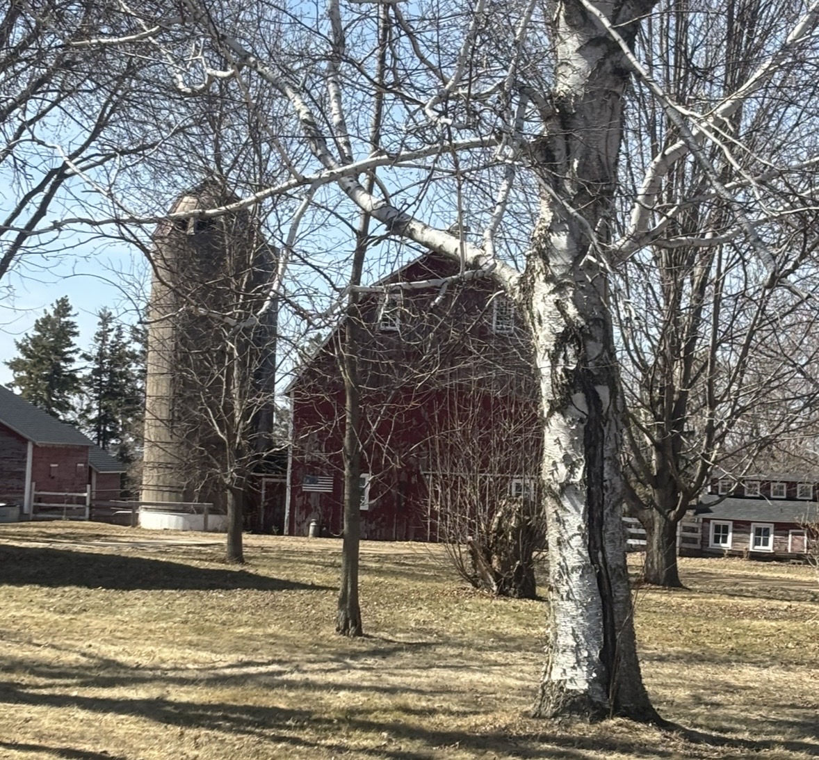 IMG_1712.jpeg