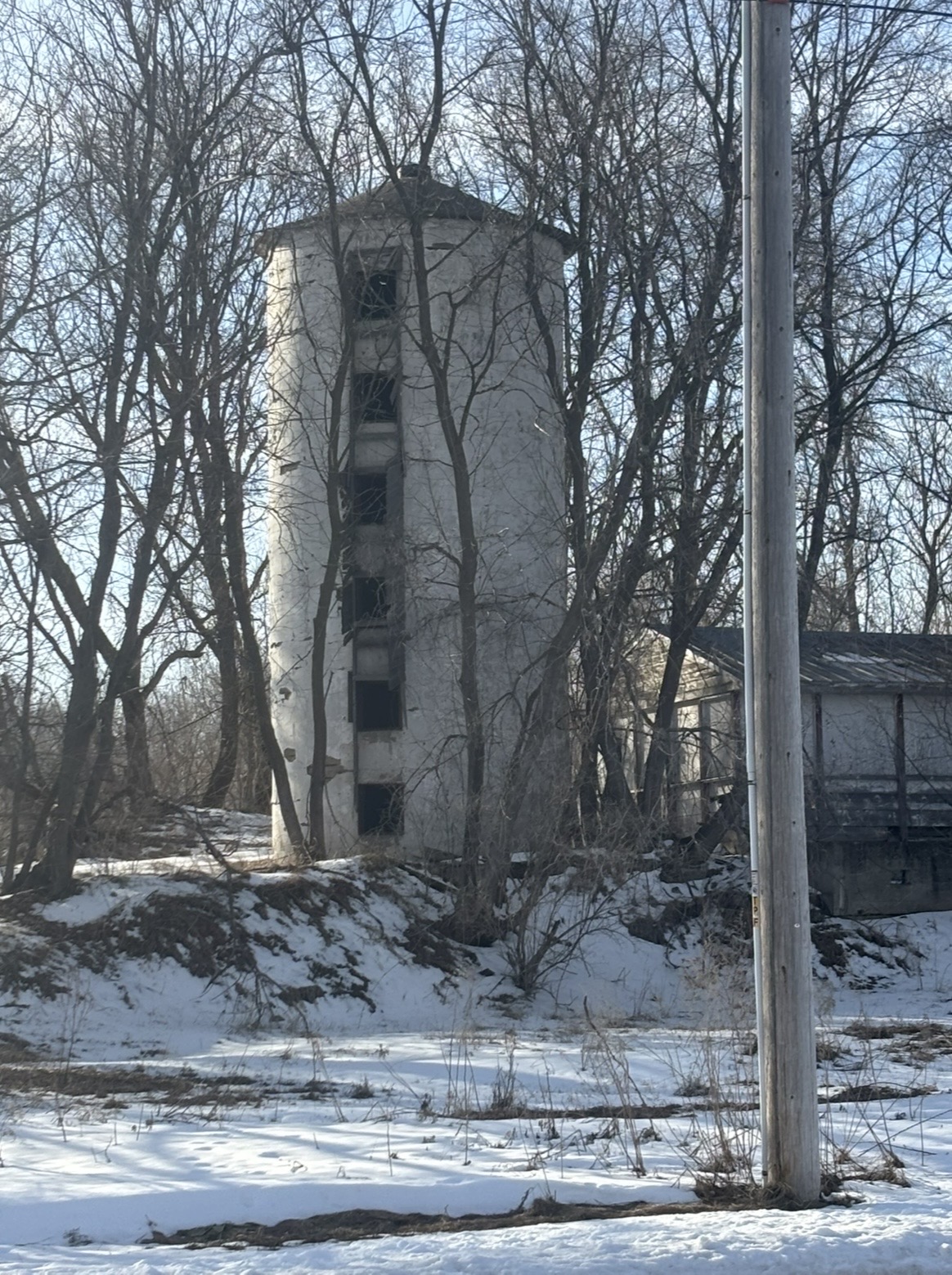 IMG_2108.jpeg