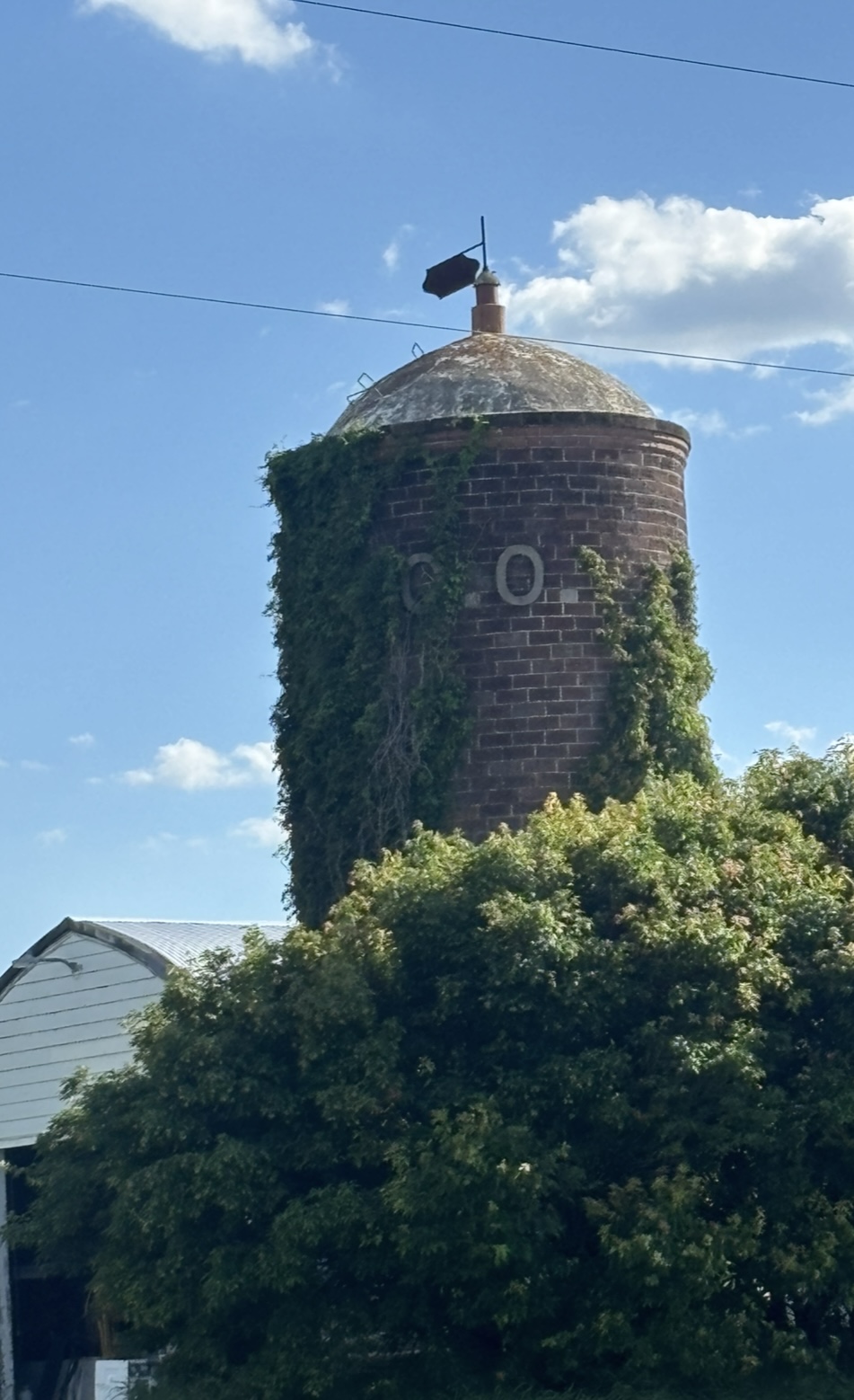 IMG_4604.jpeg