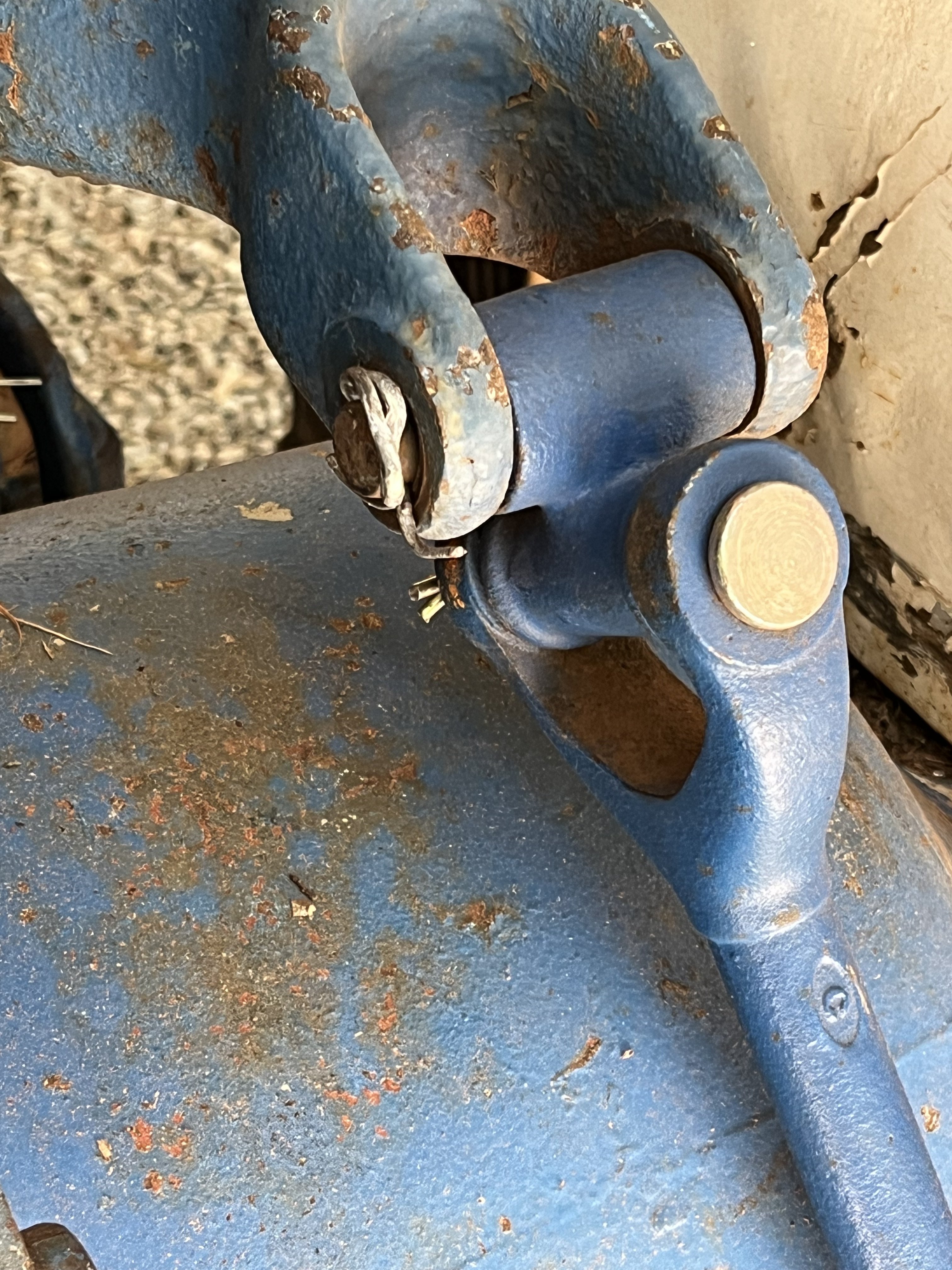 IMG_4610.jpeg