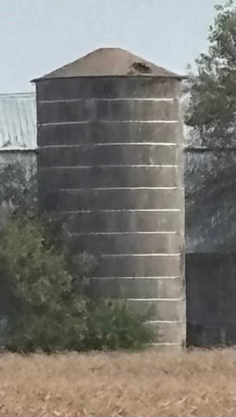 IMG_6404.jpeg