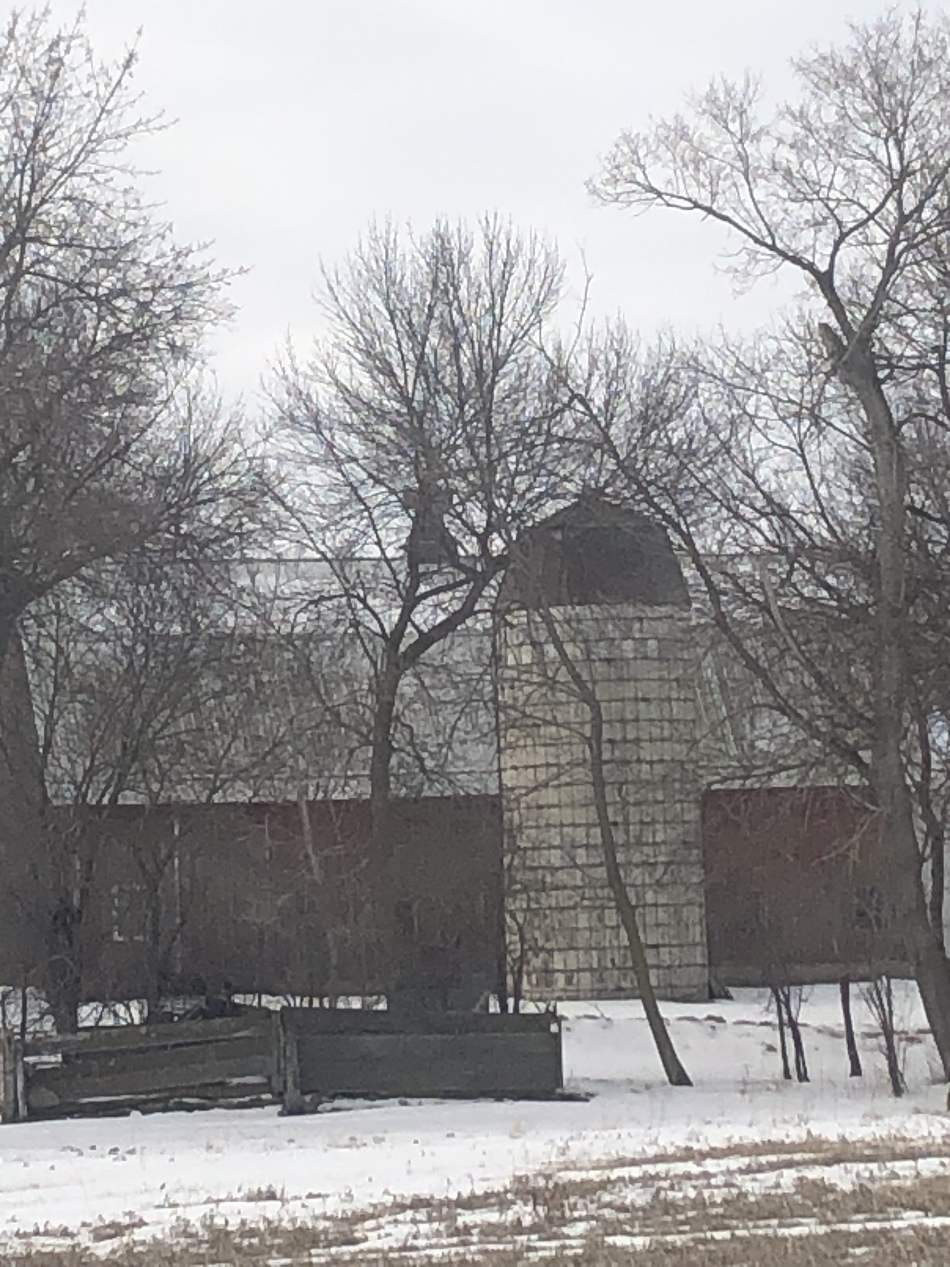 IMG_6829.jpeg
