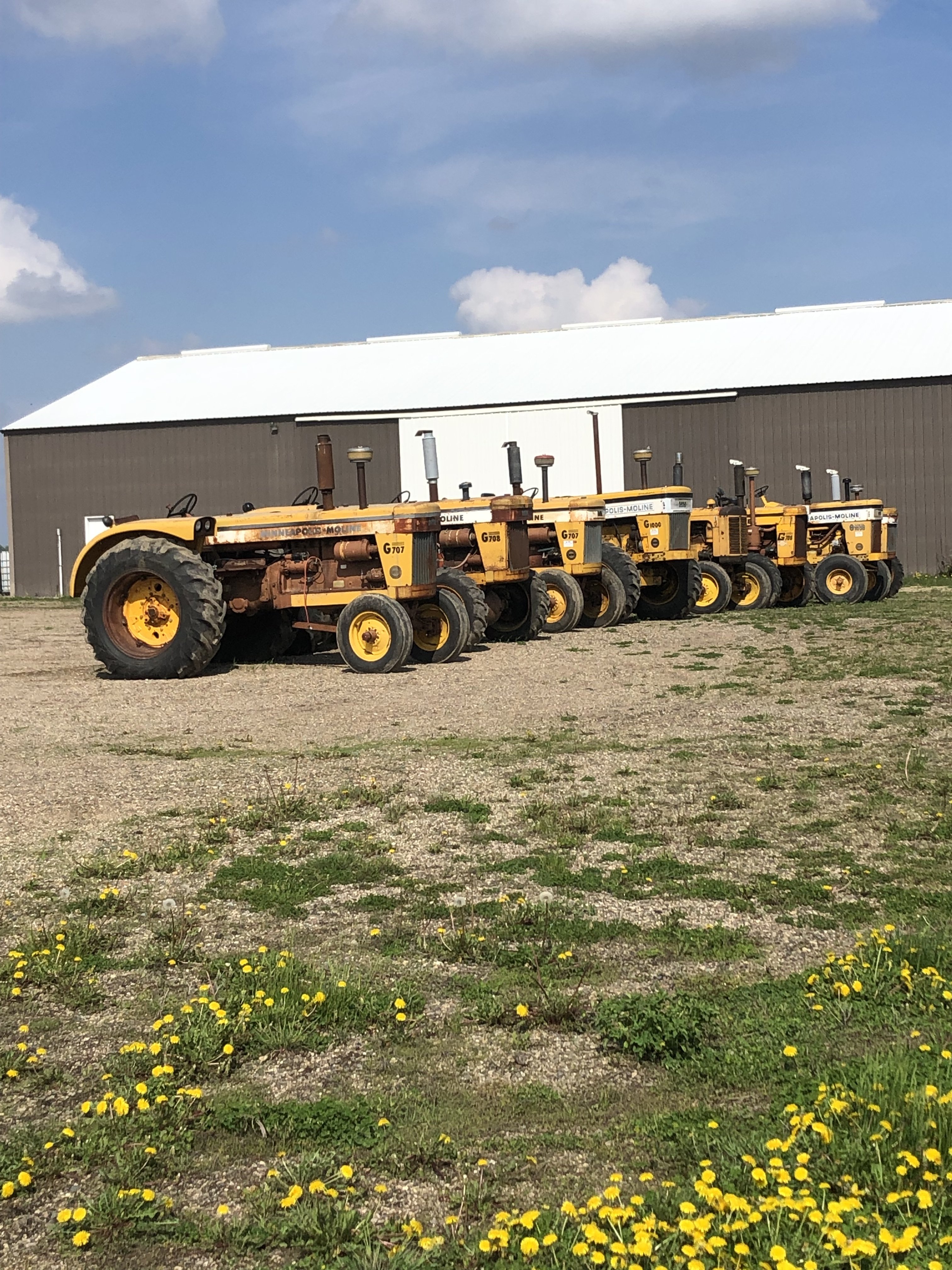 On spring grass | Yesterday's Tractors Forums