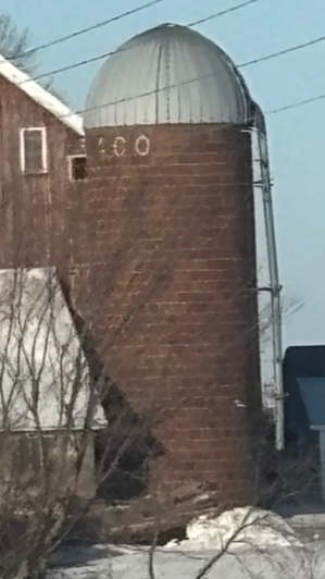 IMG_8081.jpeg