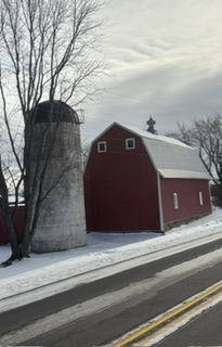 IMG_8201.jpeg