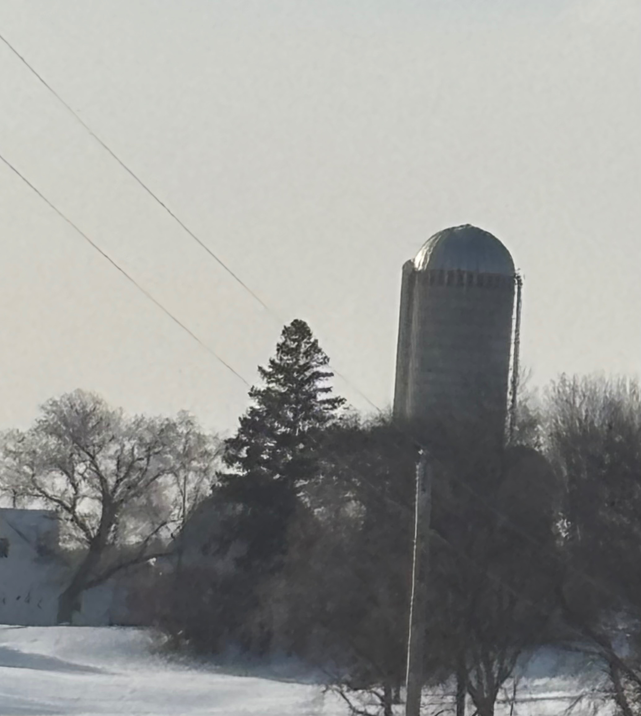 IMG_8384.jpeg