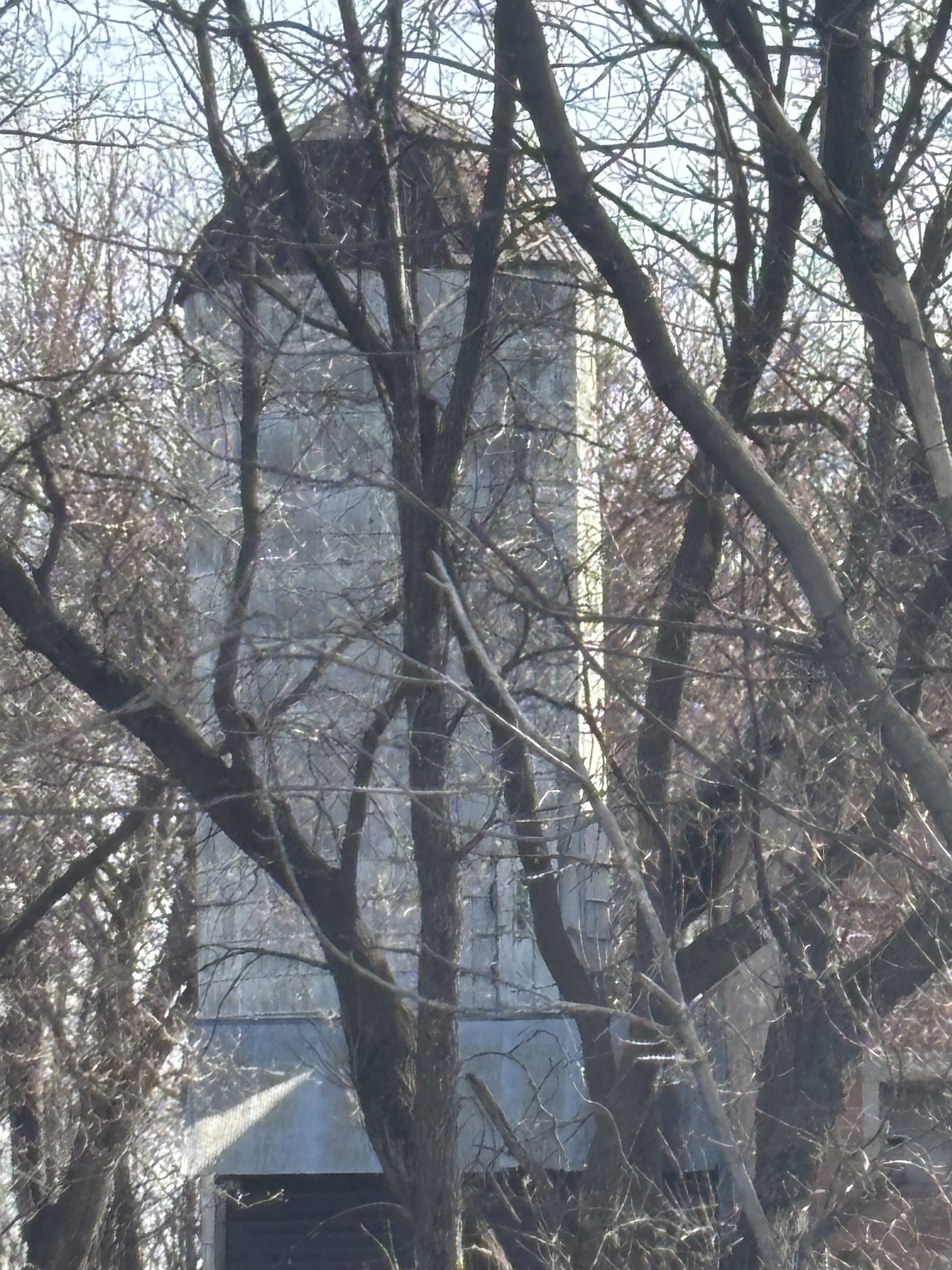 IMG_9321.jpeg