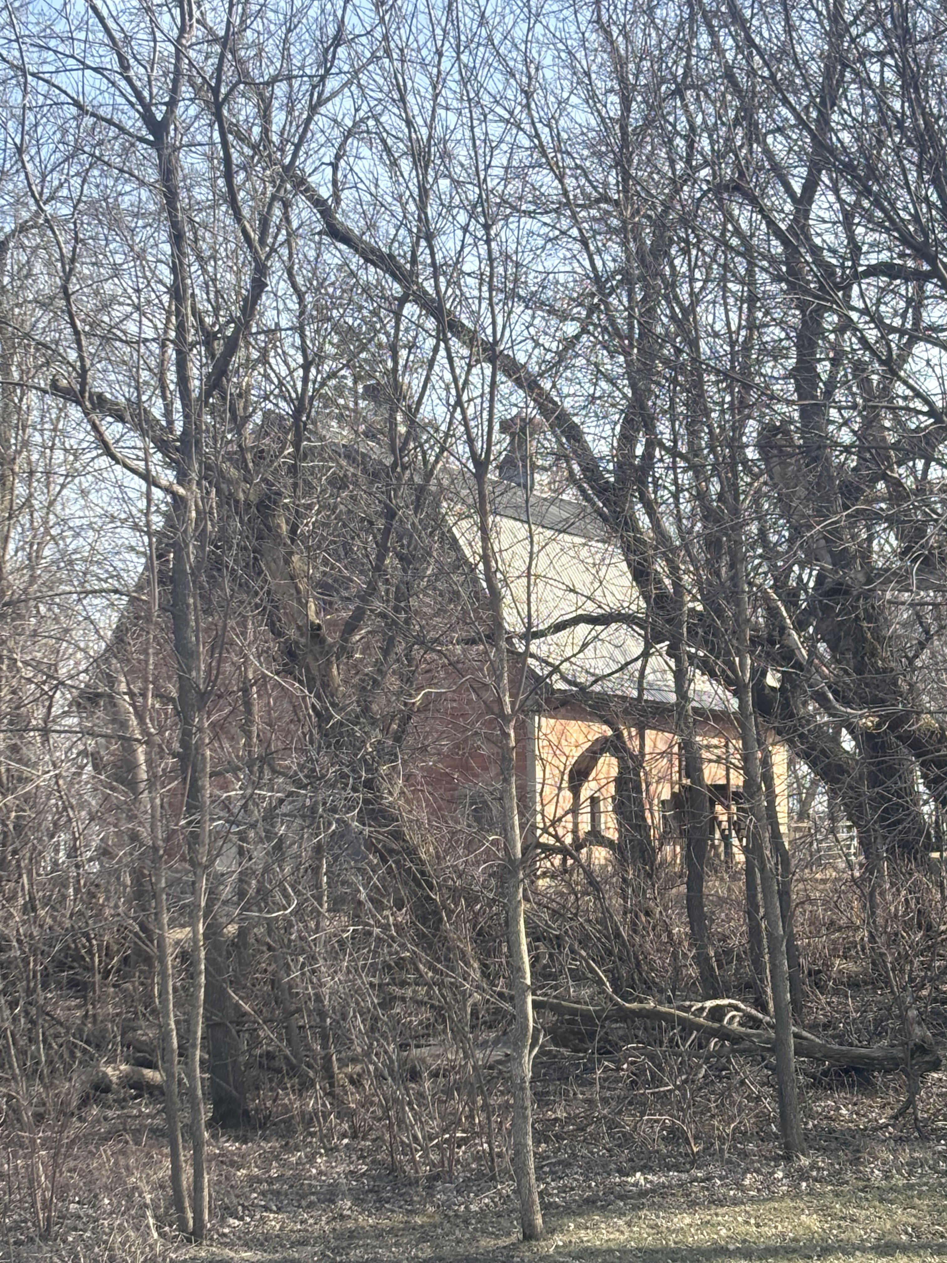 IMG_9322.jpeg