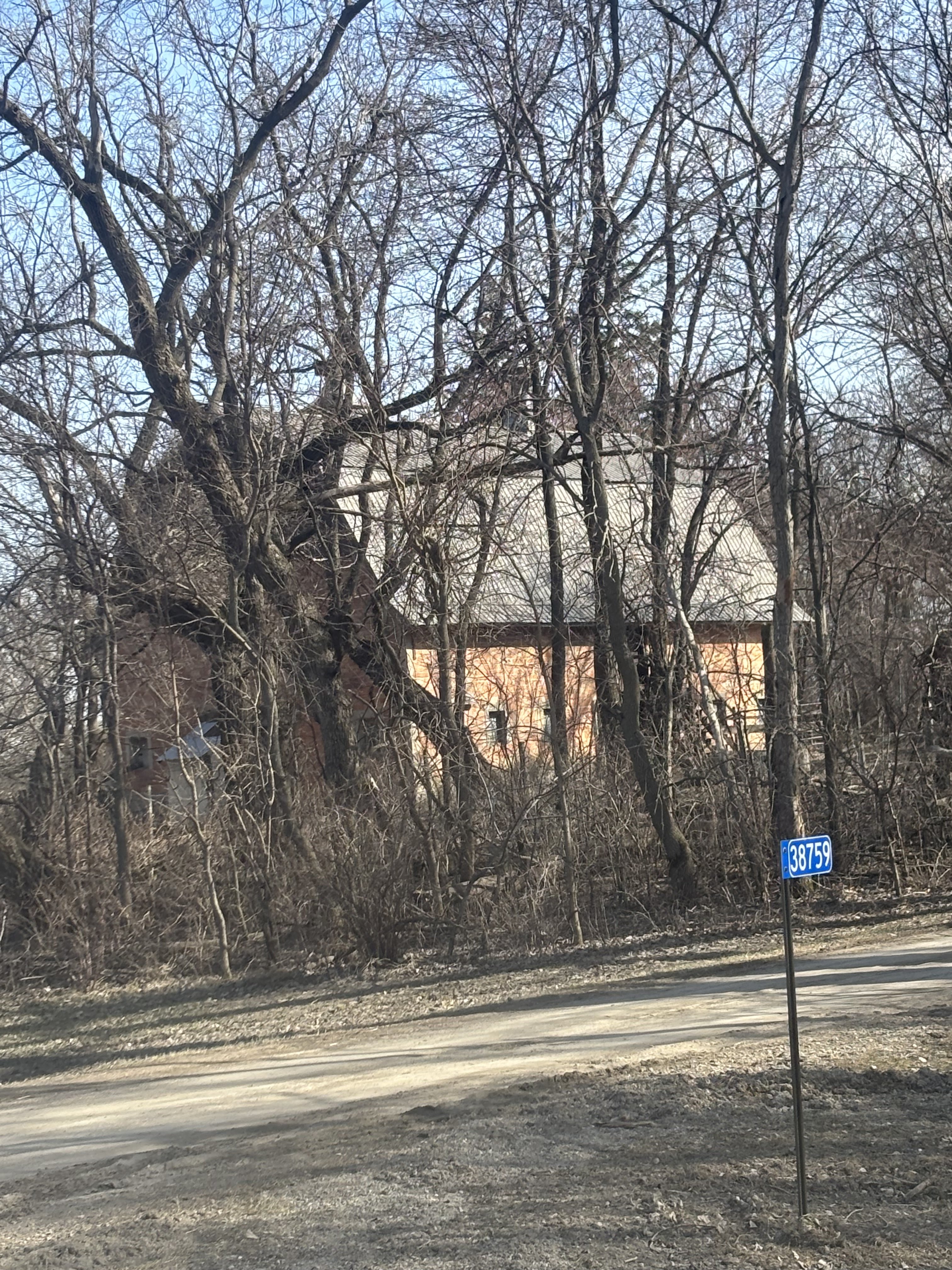 IMG_9323.jpeg