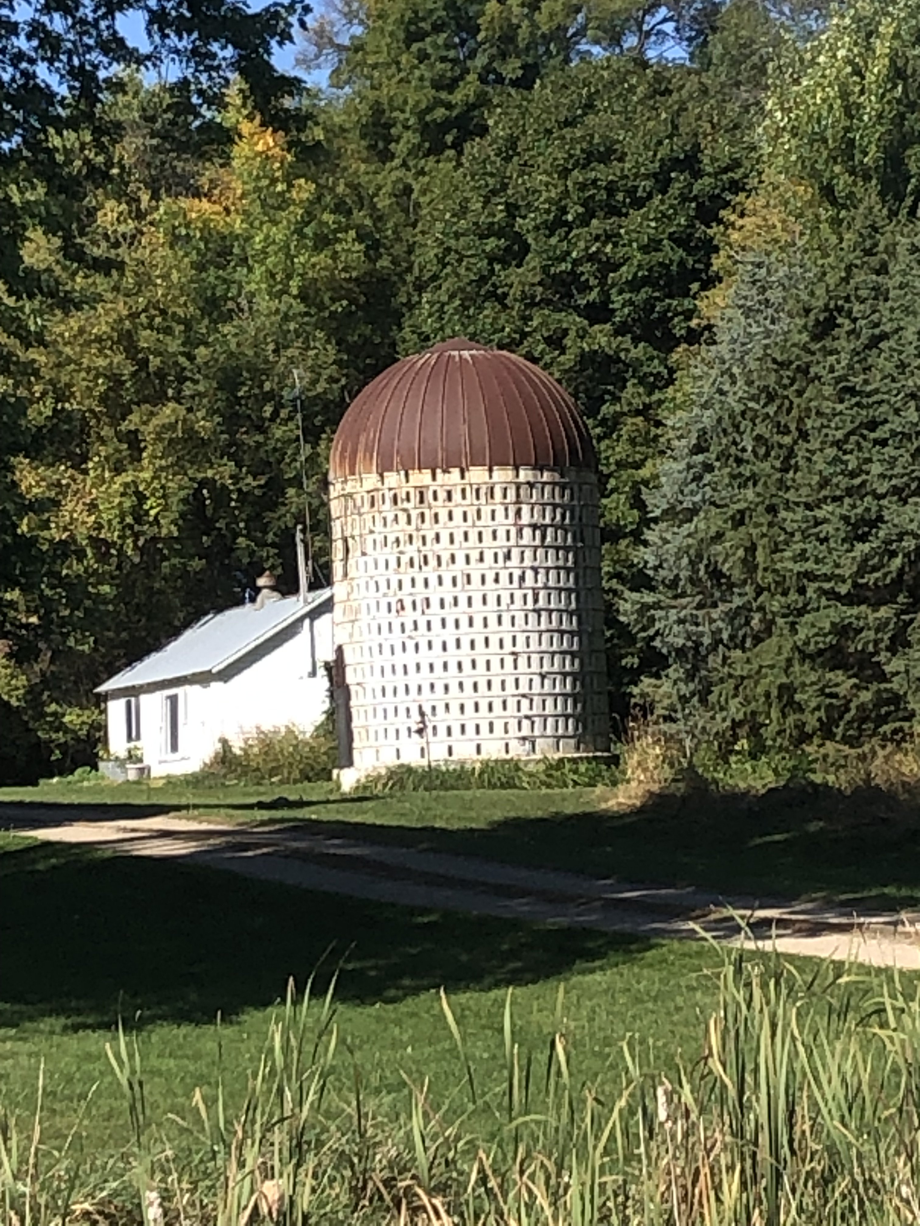 IMG_9942.jpeg