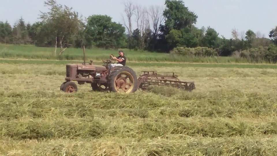 H Farmalls--Show of hands... | Page 4 | Yesterday's Tractors Forums