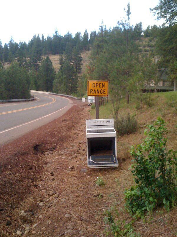 openrange.jpg