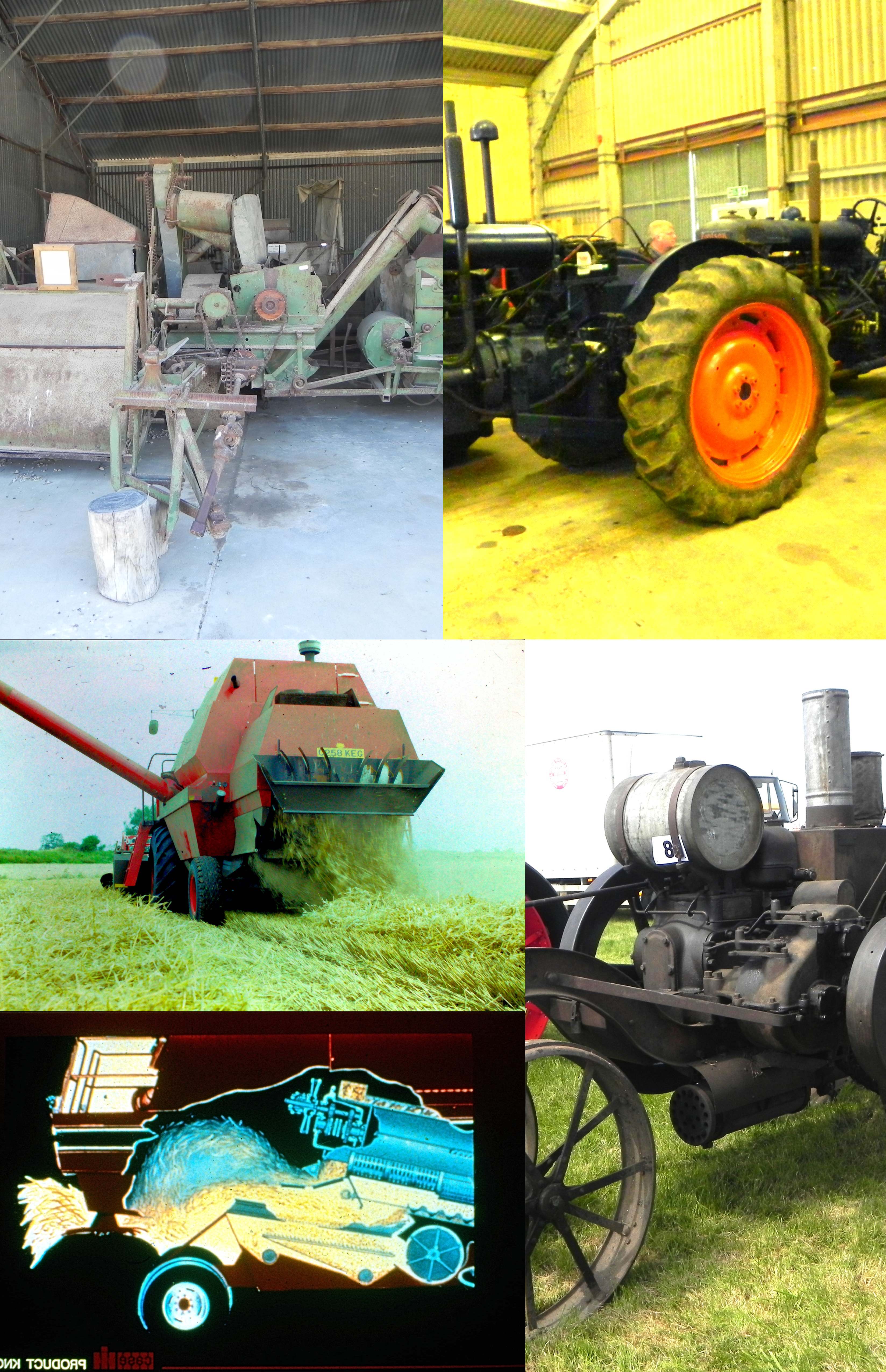 Puzzle 75.jpg