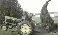 tractors-tree.gif