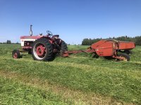 IMG_6208.jpeg