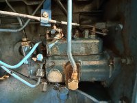 IMG_3377.jpeg