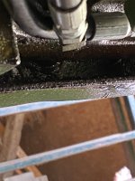 IMG_1771.jpeg