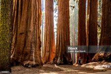 istockphoto-1452911237-2048x2048.jpg