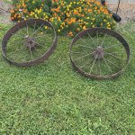 D2486E18-4326-4A24-BD70-573B8BC340F7.jpeg
