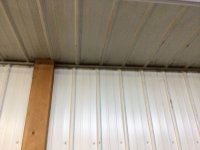 IMG_2554.jpeg