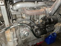IMG_2012[1].JPG