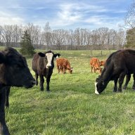 Wiring Diagram Yesterday s Tractors Forums