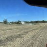 Farmall m farmer