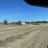 Farmall m farmer